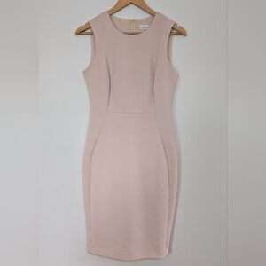 Calvin Klein Women's Pink Dress